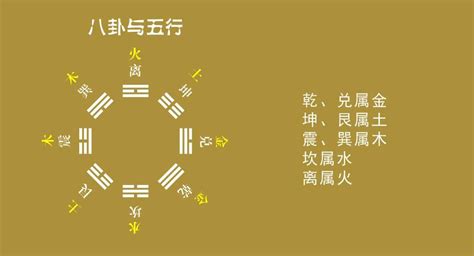 金巽|乾、兑为什么属金？震、巽为什么属木？